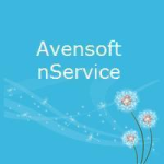 nService Hosting