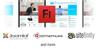 cms webdesign + flash pack